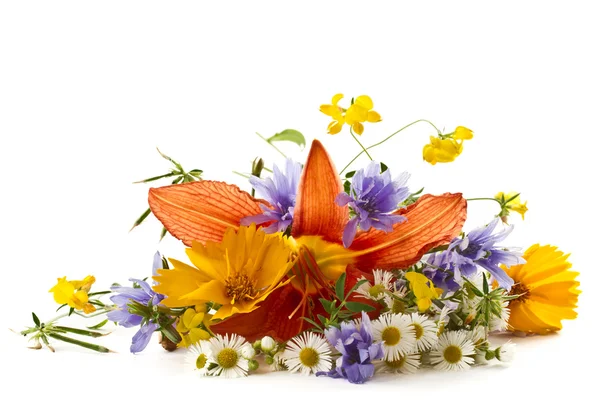 夏の野の花の花束 — ストック写真