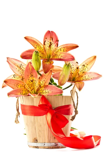 Laranja Lily — Fotografia de Stock