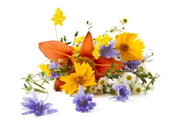 Букет літніх польових квітів — стокове фото