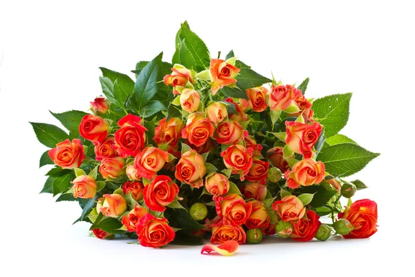 Букет червоних троянд Ліцензійні Стокові Зображення