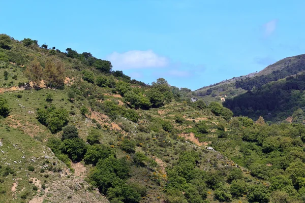 stock image Mountains