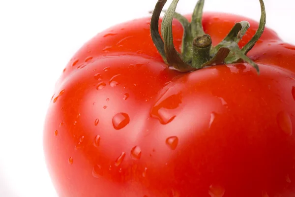 stock image Tomato