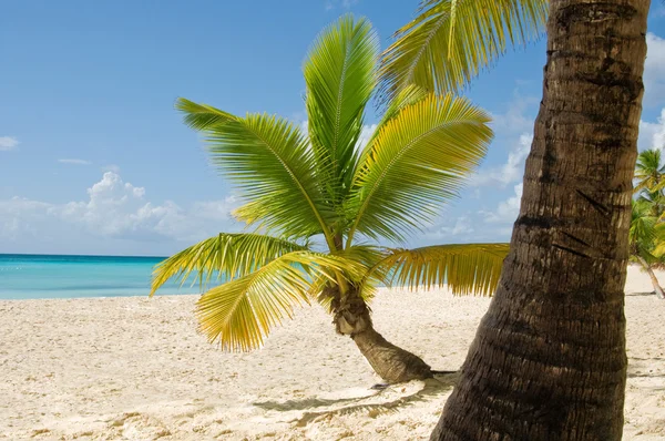 Fantástica playa tropical en la península de Samaná en la República Dominicana — Foto de Stock