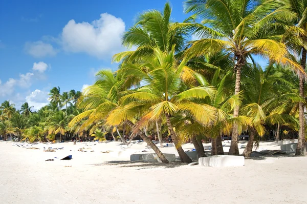 Fantástica praia tropical na península de Samana, na República Dominicana — Fotografia de Stock
