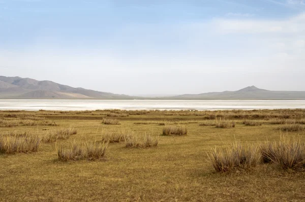 Yta av salt lake, salt marsh. norr om Mongoliet. — Stockfoto