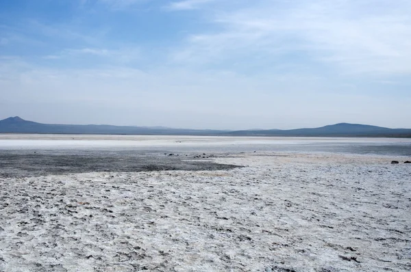 Superficie del lago salato, palude salata. a nord della Mongolia . — Foto Stock