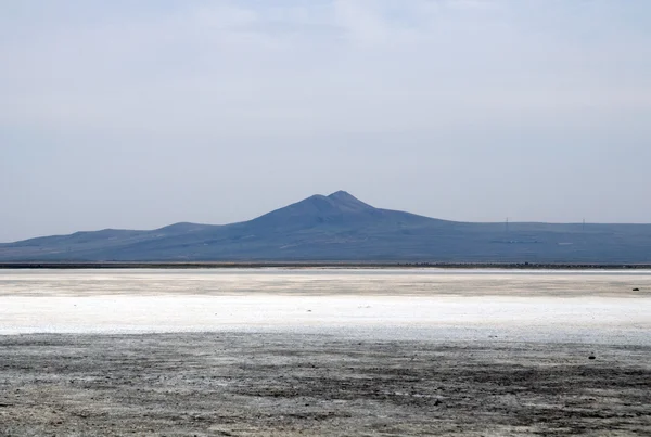 Surface of the salt lake, salt marsh. north of Mongolia. — Stock Photo, Image