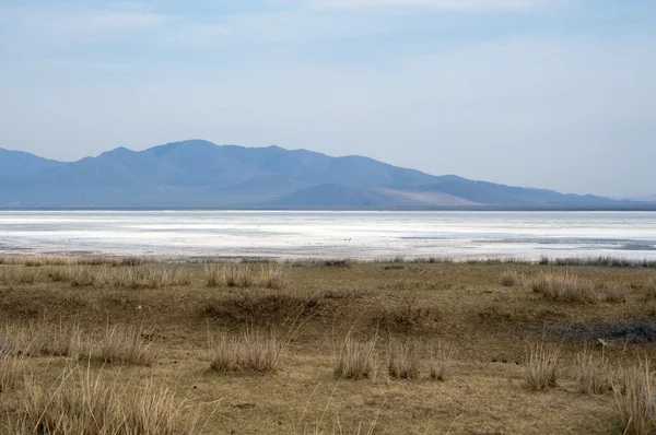 Oberfläche des Salzsees, Salzwiesen. Norden der Mongolei. — Stockfoto