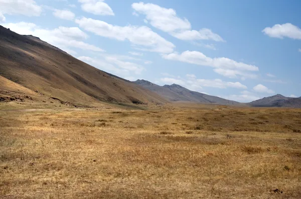 Синє небо над величезній степу Монгольська — стокове фото