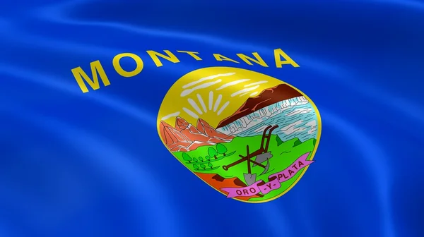 Montanan flag i vinden - Stock-foto