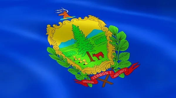Vermonter zászló a szélben — Stock Fotó
