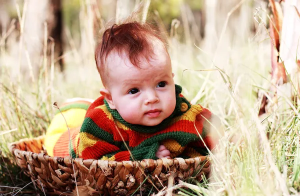 屋外のバスケットでかわいい 4 か月の古い赤ん坊 — ストック写真
