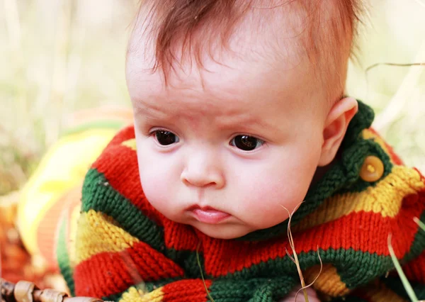 Lindo bebé de 4 meses en la cesta al aire libre — Foto de Stock