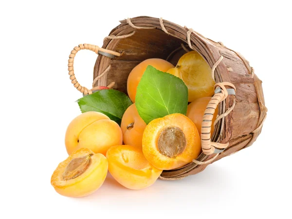 Apricots in a basket — Stock Photo, Image