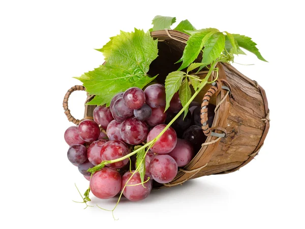 Dark blue grapes in a wooden basket — Stock Photo, Image