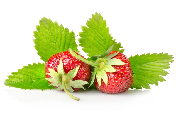 Ripe strawberries with leaves — Stock Photo, Image