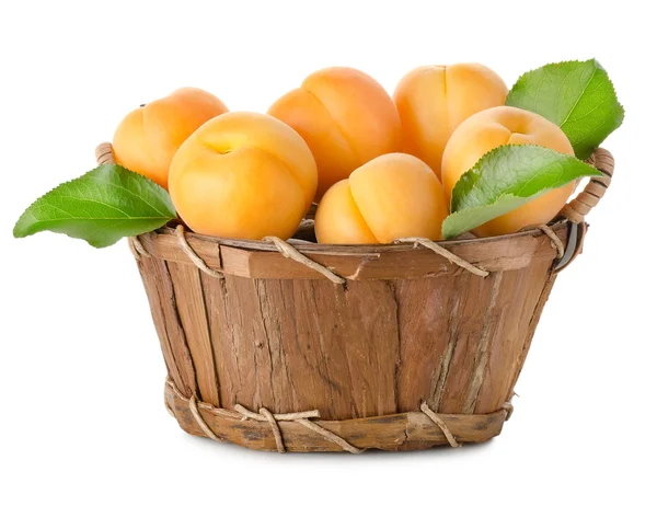 Aprikosen in einem Korb isoliert — Stockfoto