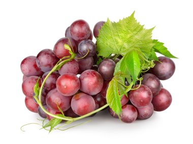 Dark blue grapes with a vine clipart