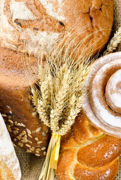 Ассортимент свежего хлеба в пекарне — стоковое фото