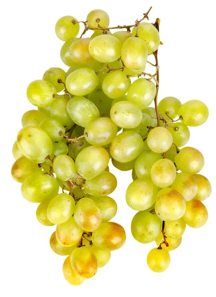 Bunch of green grapes — Stock Photo, Image