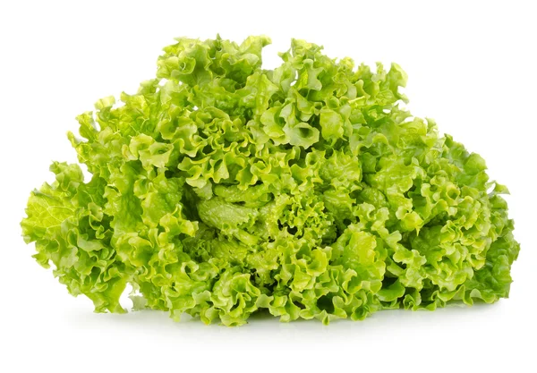 Čerstvý zelený hlávkový salát — Stock fotografie