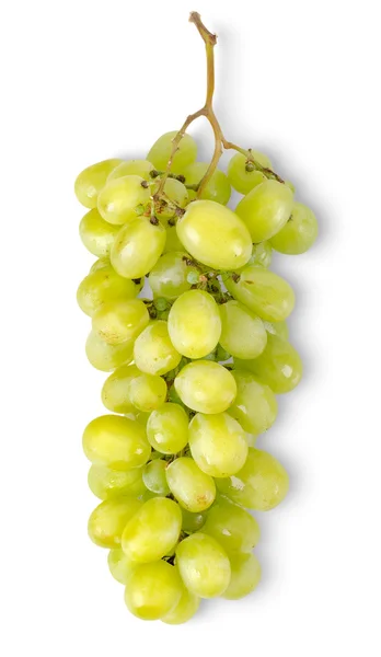 Racimo de uvas verdes aisladas — Foto de Stock