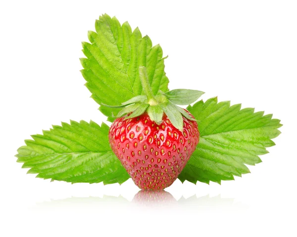 Ripe strawberries with leaves isolated — Stock Photo, Image