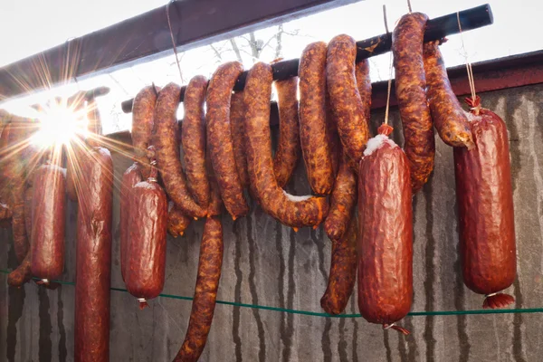 stock image Fresh sausages and salamis