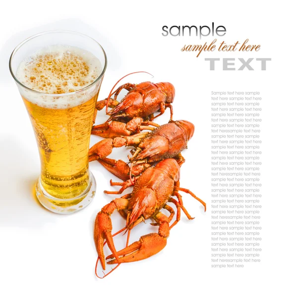 Le homard rouge avec un verre de bière — Photo