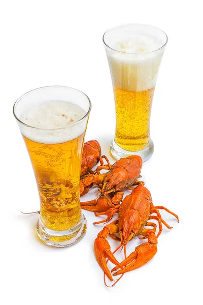 Червоний омарів зі склянкою пива — стокове фото