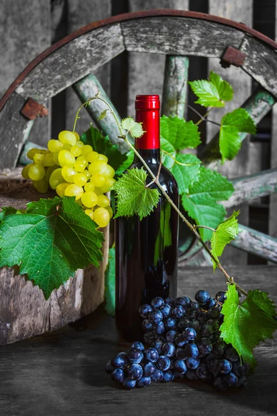 Butelkę wina na tle winorośli — Zdjęcie stockowe