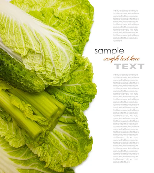 Friss, nyers salátát és fűszernövények — Stock Fotó