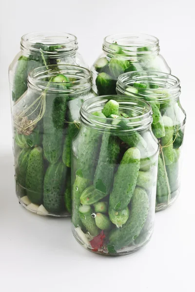 Oogsten en inblikken komkommers — Stockfoto
