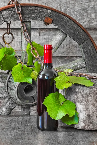 Uma garrafa de vinho no fundo da videira — Fotografia de Stock