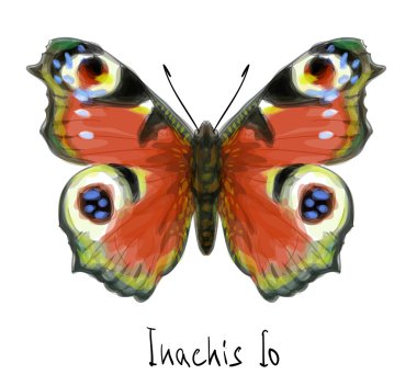 Butterfly Inachis Io. Watercolor imitation. clipart