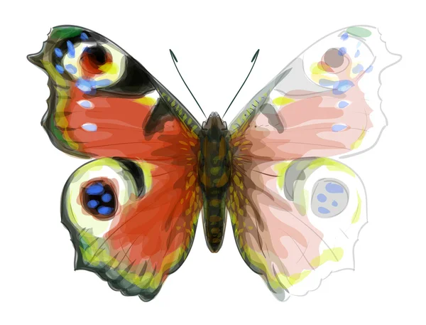 Butterfly inachis io. onvoltooide aquarel tekening imitatie. — Stockvector