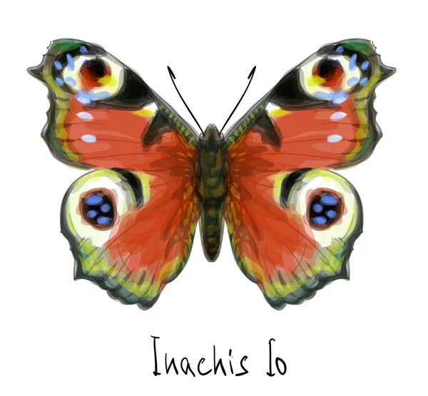 Perhonen Inachis Io. Vesivärijäljitelmä . — vektorikuva