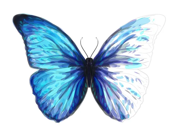 Schmetterlingsmorpho-Anaxibie. Unfertige Aquarell-Zeichnung imitiert — Stockvektor