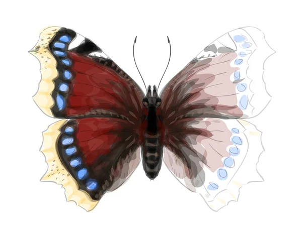 Papillon Numphalis Antiopa. Imitation aquarelle . — Image vectorielle
