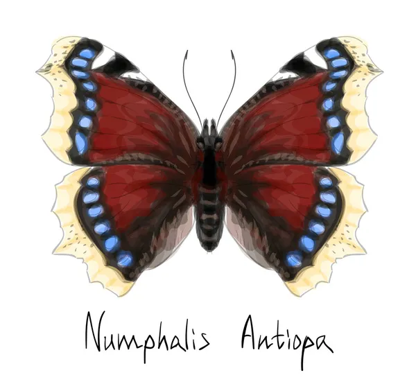 Butterfly Numphalis Antiopa. Watercolor imitation. — Stock Vector