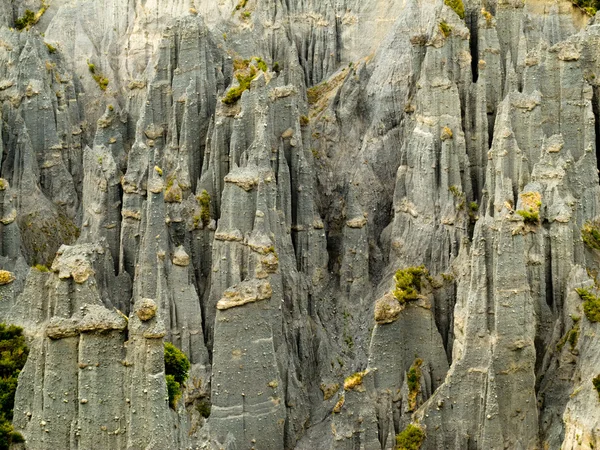 Badlands hoodoos Putangirua Pinnacles, Нова Зеландія — стокове фото