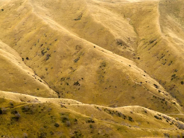 Grassland on mountain slope yellow from drought — Stock Photo, Image