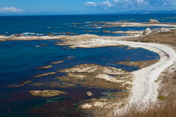 Скелястий берег поблизу Kaikoura Південного острова Нової Зеландії — стокове фото