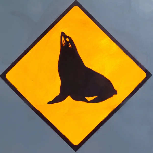 Attention Seals or Sealions on Road Sign — Stock Photo, Image