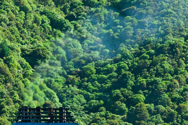 Éghajlat gáz környezetszennyezés fogalma, füst és erdő — Stock Fotó