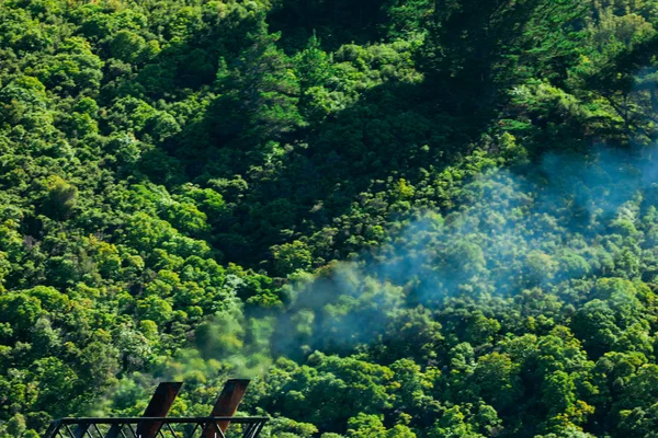Climate gas pollution concept, smoke and forest — Stock Photo, Image