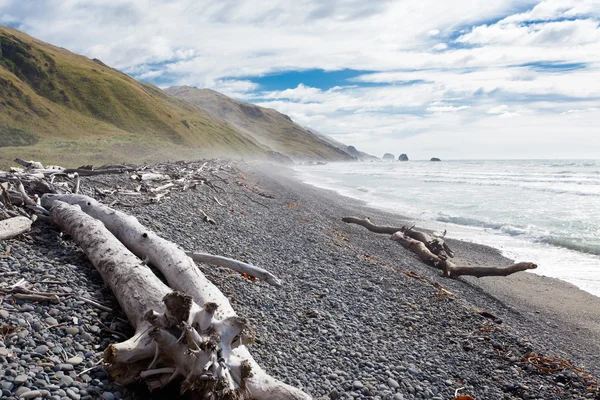 Praia de cascalho e troncos em Gore Bay, NZ — Fotografia de Stock