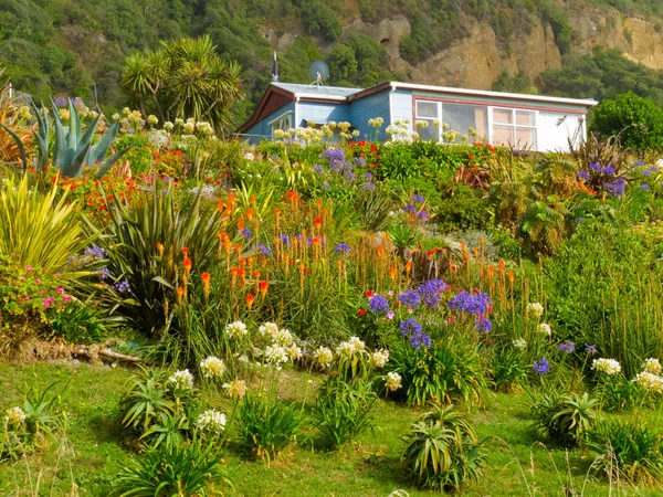 Landsbydrømmehus i frodig, blomstrende naturhage – stockfoto