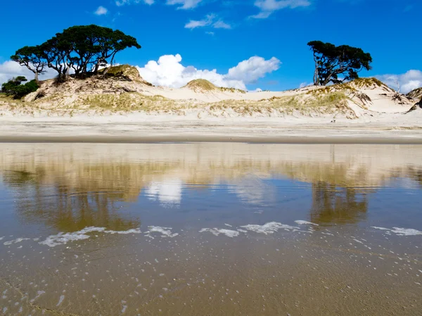 Kustnära sanddyner reflektioner på stranden vid lågvatten — Stockfoto