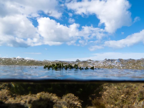 Üzerinden-altında gelgit havuzu temiz su atış Böl — Stok fotoğraf